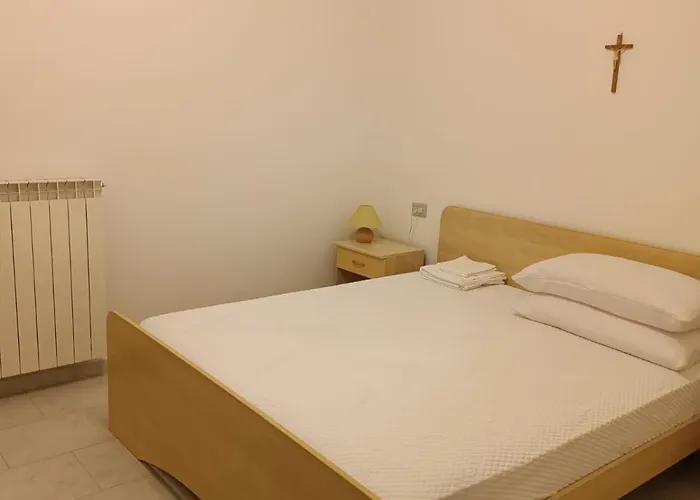 Oasi